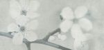 OPOCZNO EARLY PASTELS GREY INSERTO FLOWER 29X59,3
